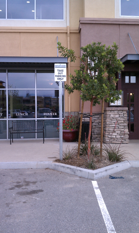 Take Out Parking Signs