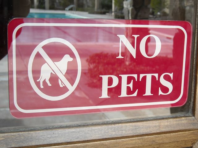 No Pets
