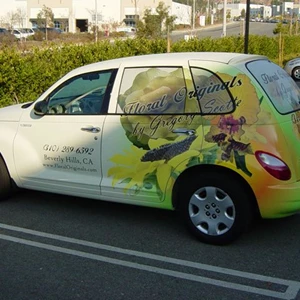 Vehicle Wrap - Driver Side