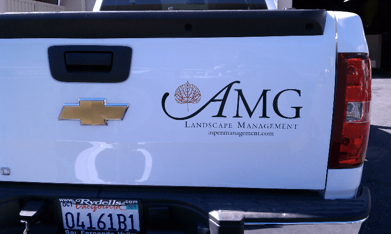 Vehicle Lettering - AMG