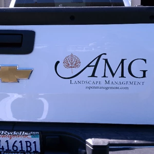 Vehicle Lettering - AMG