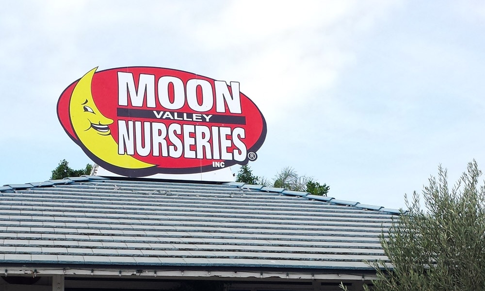 Yard Signs Bandit Signs Signs By Tomorrow Temecula Murrieta, CA