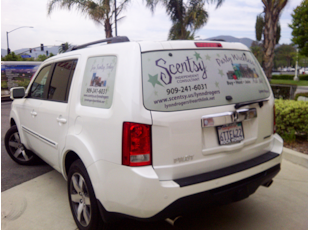 Scentsy - Perforated Window Vinyl