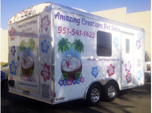 Amazing Creations Pet Salon