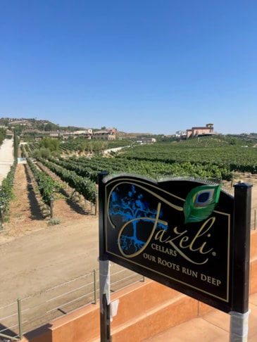 Routed & Sandblasted Signs