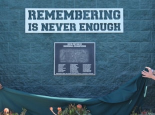 Mesa Baseball Cast Metal Plaque