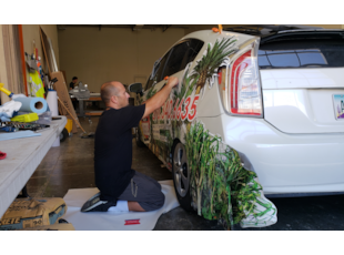 Vehicle & Wall Wraps