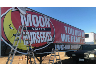 Vehicle & Wall Wraps