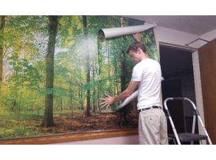 Vehicle & Wall Wraps