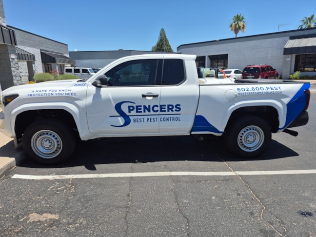 Vehicle Lettering