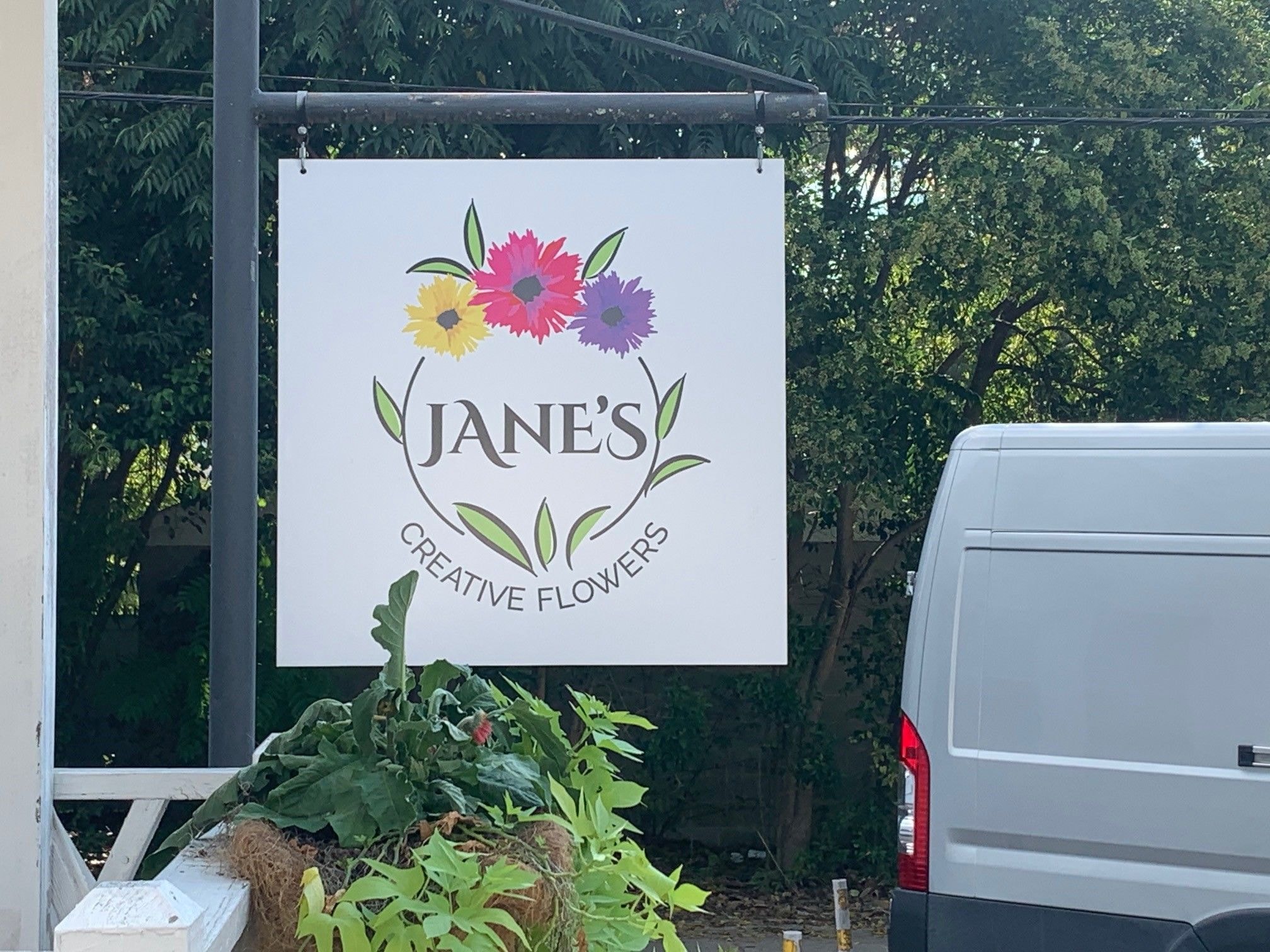 The Psychology of Yard Signs: Why Color and Shape Influence Neighborhood Opinion