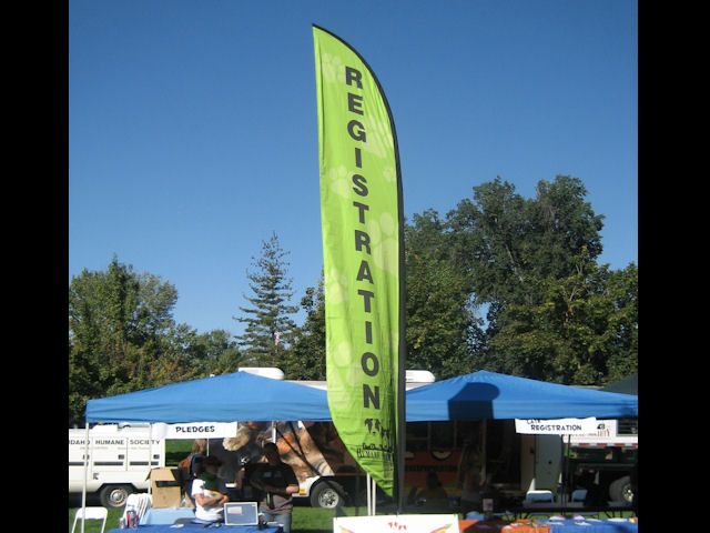 Tall feather banners display information above the heads of the crowd (both people and dogs!)
