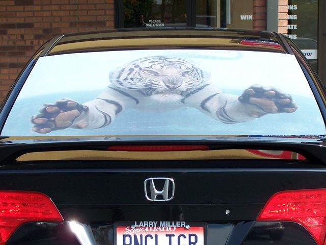 Window Perf can be just for fun, too!