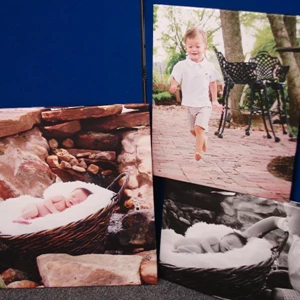 Canvas digital print pictures for picture frames
