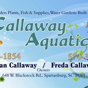 Callaway Aquatics