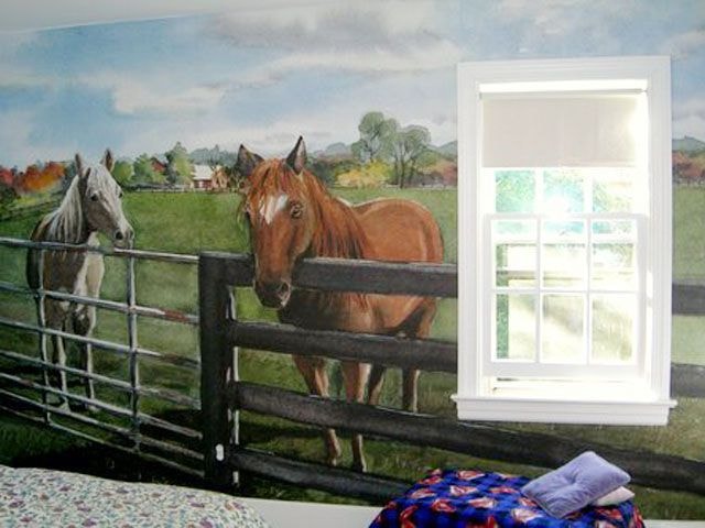 Wall Graphics & Murals