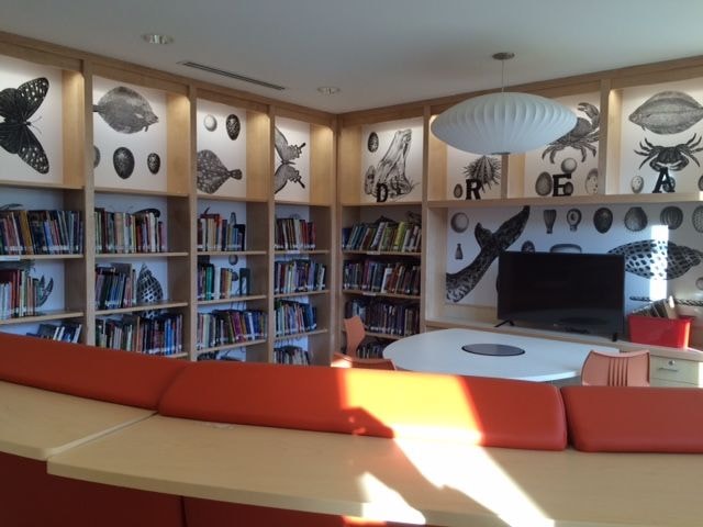 Wall Graphics & Murals