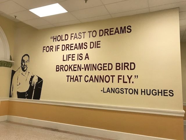 Wall Graphics & Murals