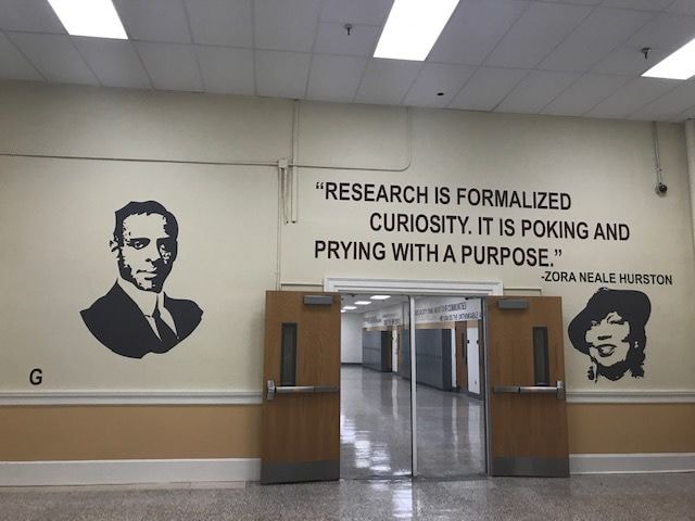 Wall Graphics & Murals