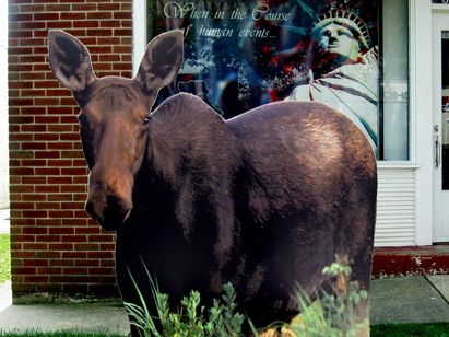 Digital Printed Signage