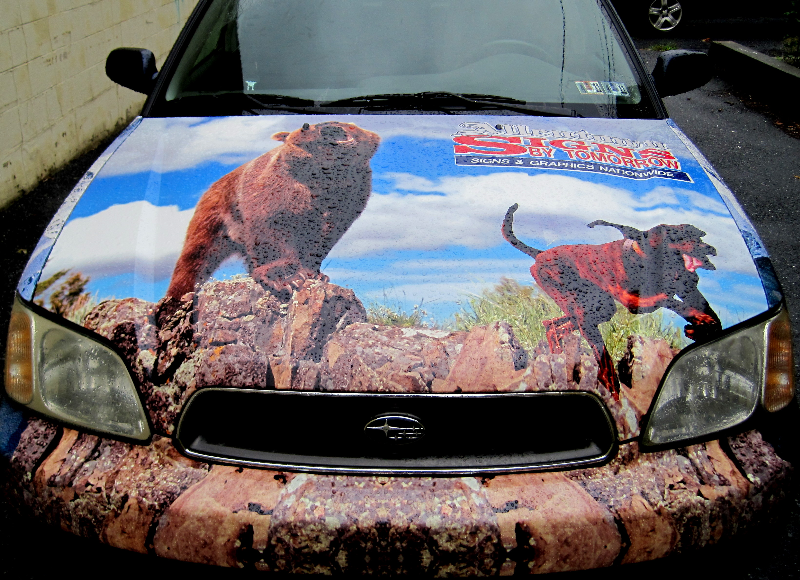 Signs By Tomorrow Vehicle Wrap and Graphics