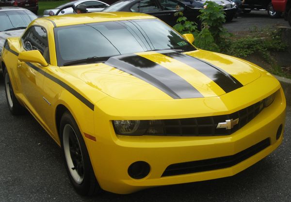Camero Stripes