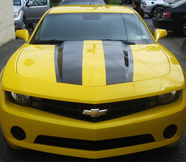 Camero Stripes