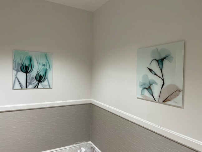Premium commercial printing paired with expert custom framing to introduce soothing, patient-centric visual elements into healthcare facilities.