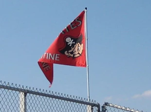 Palatine High School Mascot Flag