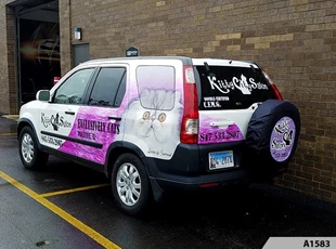 Nice Partial Vehicle Wrap for Kitty City Salon, Palatine, IL 60074