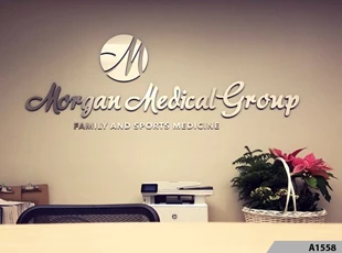 How about some new 3-Dimensional Brushed Silver Aluminum Logo Signage to really dress up your Lobby or Conference Room? Morgan Medical Group, Park Ridge, IL