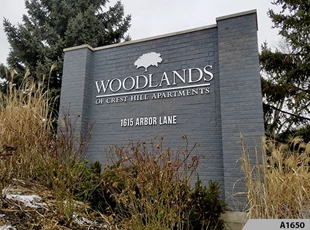 Monument Sign with 3-Dimensional Brushed Aluminuim Letters | Woodlands Of Crest Hill, IL
