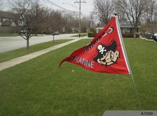 Palatine High School - Pirate Pete Mascot Custom Flag