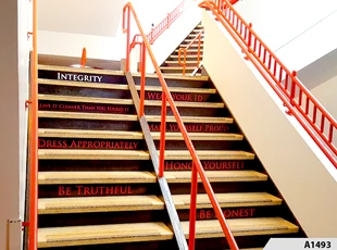 Stairwell Signage is just one example of what Envionmental Signage, aslo called Experiental Graphics, can be all about - Palatine High School