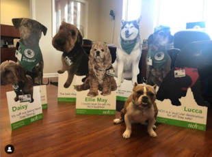 Interesting Shape Signs