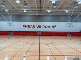 Wall Graphics & Murals | Schools, Colleges & Universities | Arlington Heights | Vinyl