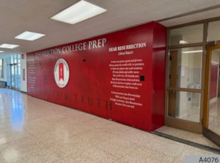 Wall Graphics & Murals | Schools, Colleges & Universities | Chicago | Vinyl