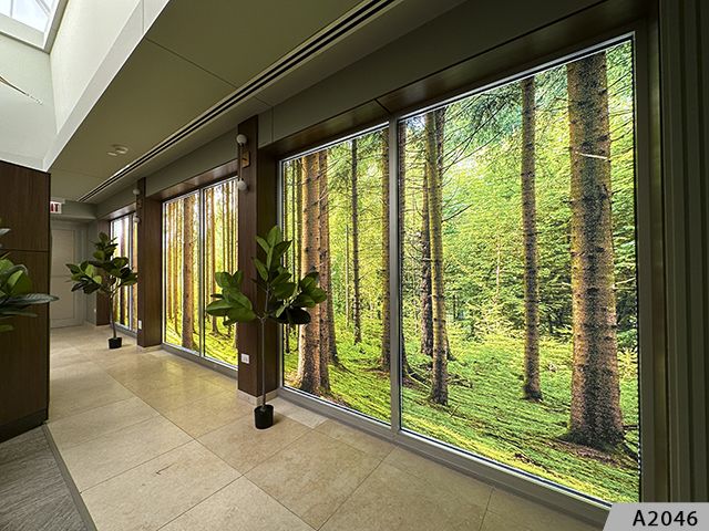 Translucent vinyl film mounted on the interior of break rooms, employee lounges or salons can be naturally backlit from the outside, while providing unparalleled privacy.