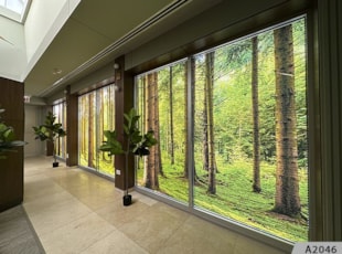 Window Decals and Graphics | Healthcare | Arlington Heights | Vinyl