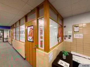 Window Decals and Graphics | Schools, Colleges & Universities | Arlington Heights | Vinyl