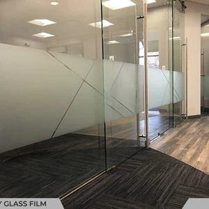 Dusted_Distraction_Glass_Window_Graphics