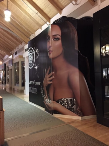 Wall Graphics & Murals