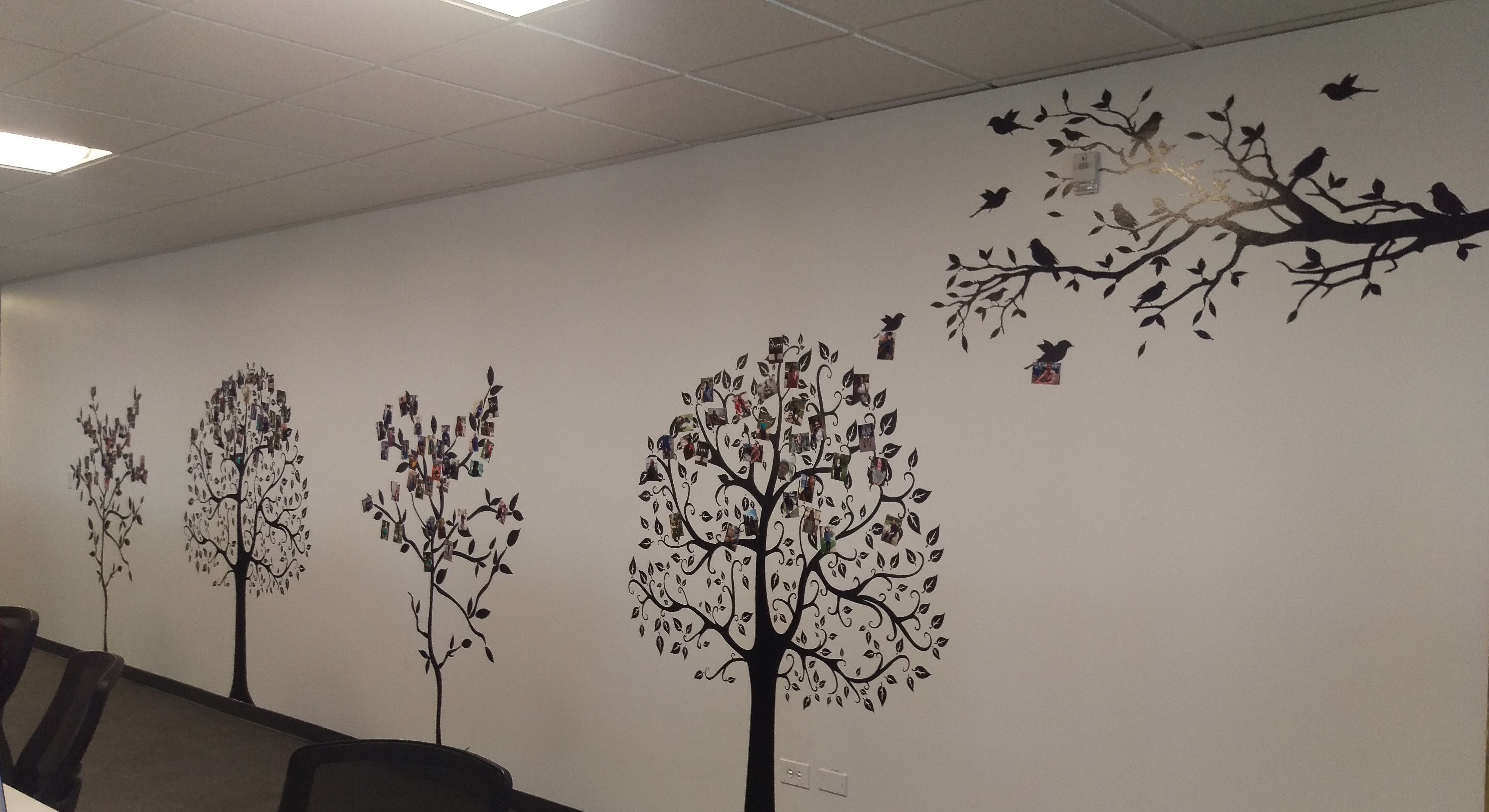 Wall Graphics & Murals
