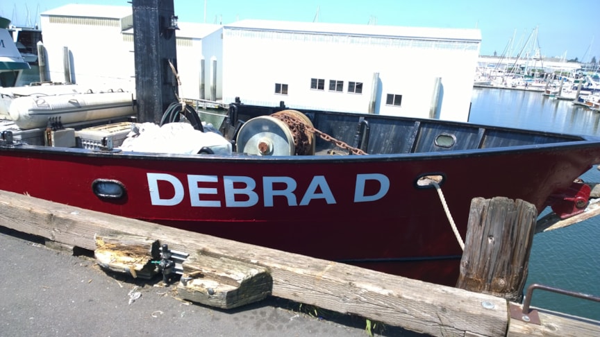 Vehicle Lettering & Graphics in [city]