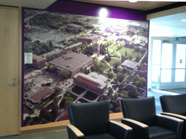 Interior Complete Wall Wrap