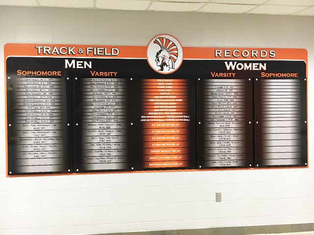 Custom Records Display with Standoffs