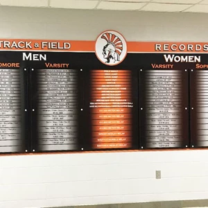 Custom Records Display with Standoffs