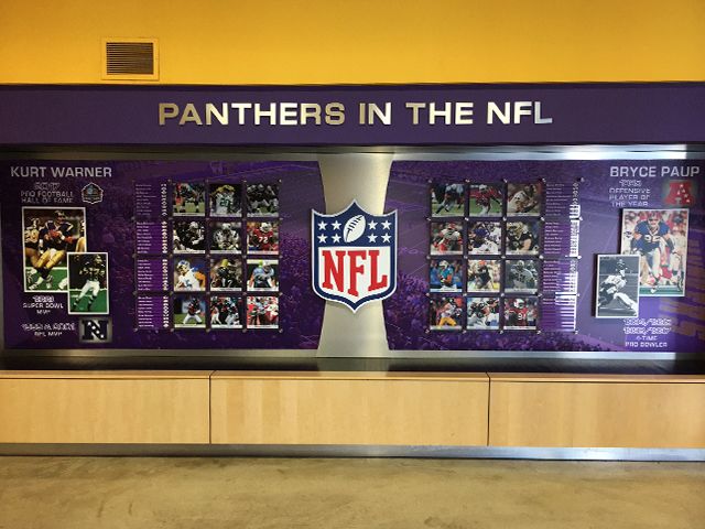 Custom UNI Alumni NFL Display