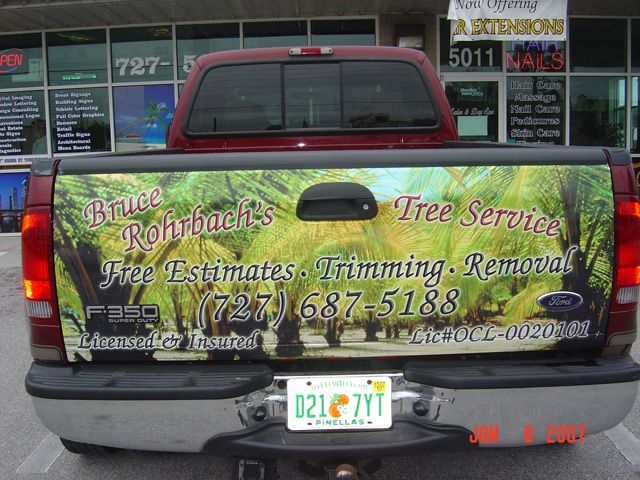 Bruce Rorhbach's Tree Service