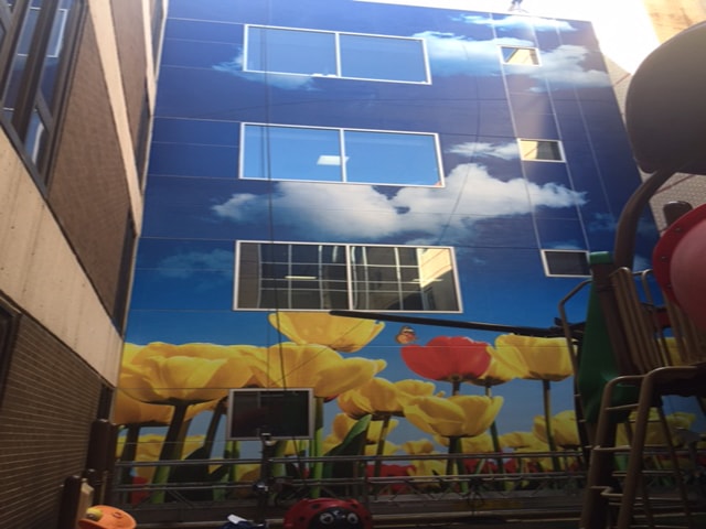 Full Color Digitally Printed Outdoor Vinyl Wall Graphic